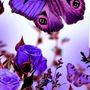 Meet your Posher, Jean